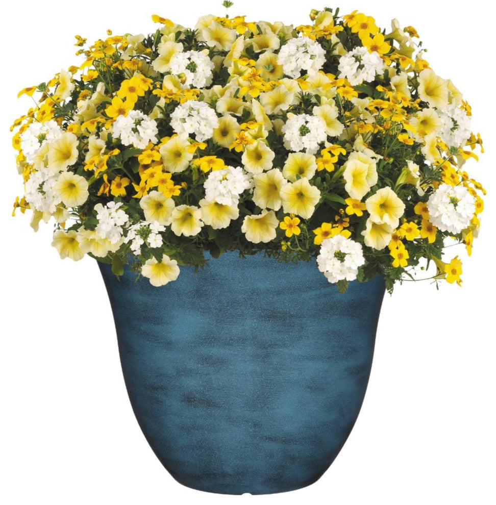 Classic Home and Garden Honeysuckle Resin Flower Pot Planter, Blue Jean, 13"