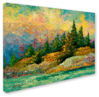 Marion Rose 'Pacific Island' Canvas Art, 35" x 47"