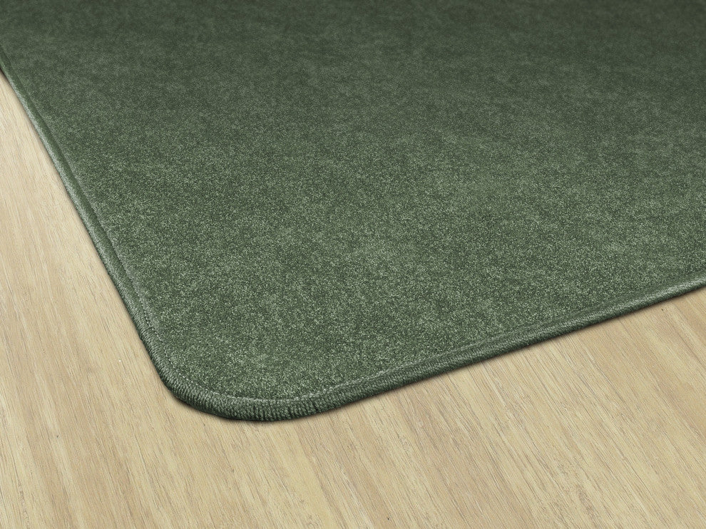 Flagship Carpets TS-34SG Amerisoft Sage Green