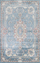 Light Blue Floral Medallion Transitional Turkish Rug Oriental Carpet 8x10