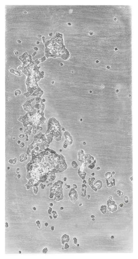 Splotch Wall Art, Silver, Rectangle A