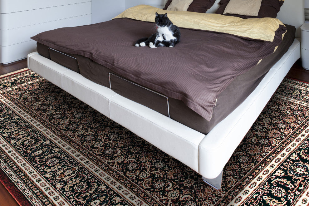 Brilliant Rug, 7'10"x10'10"