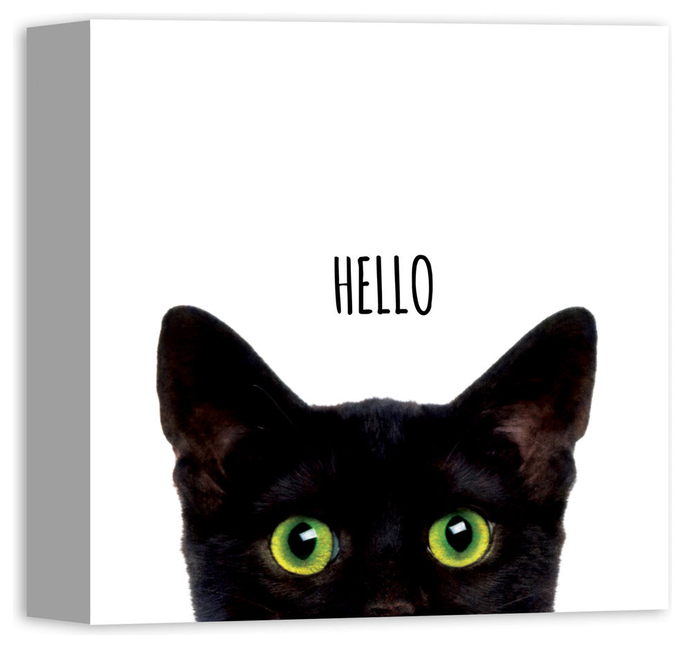Designs Direct Curious Hello Black Cat 12x12 Canvas Wall Art