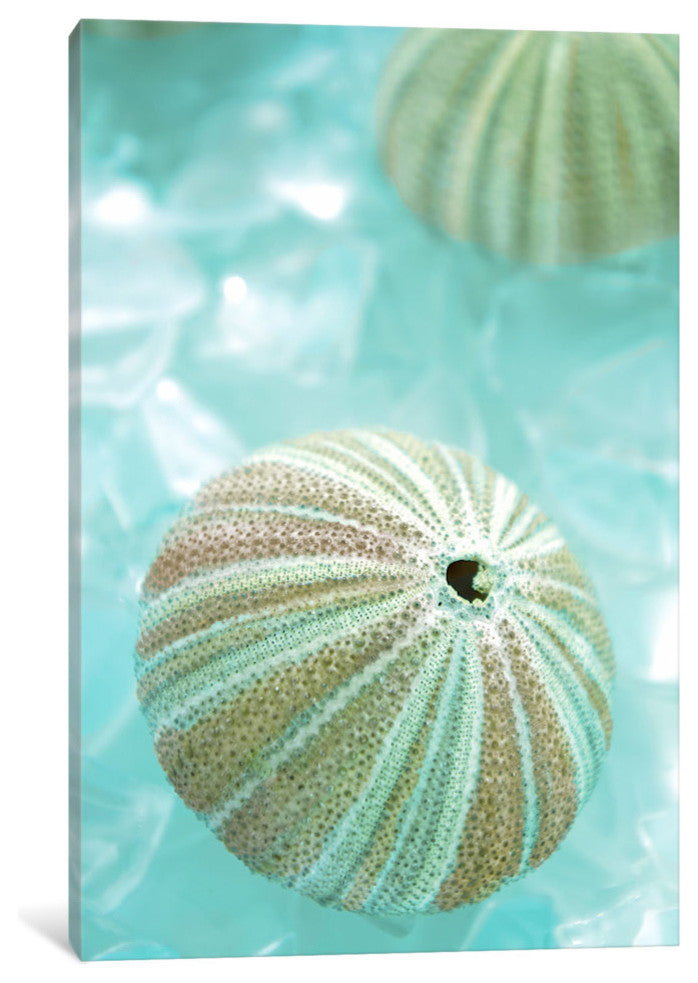 "Seaglass 4 Gallery" by Alan Blaustein, 18x12x1.5"