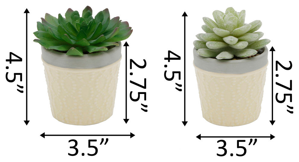 Set Of 2 Succ  Dress Icecram  Yellow Pot