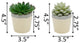 Set Of 2 Succ  Dress Icecram  Yellow Pot