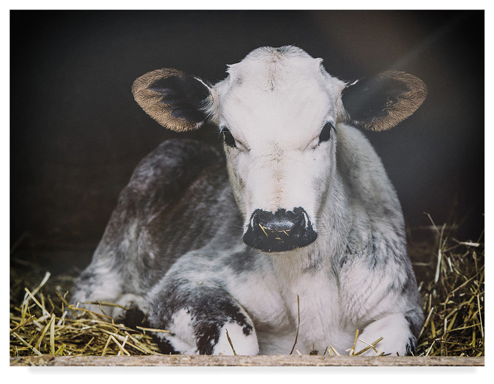 Aledanda 'Busy Day' Canvas Art