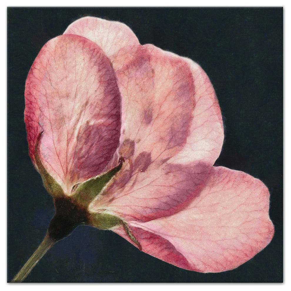 Big Flower Print 30x30 Canvas Wall Art