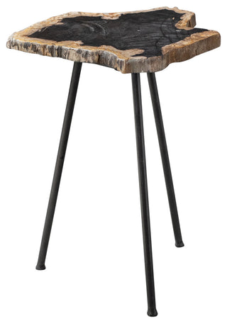 Uttermost Mircea Petrified Wood Accent table