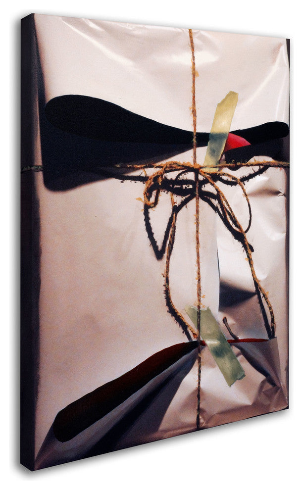 'White Wrap with Twine' Canvas Art by Roderick Stevens