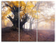 "Dark Tree With Yellow Leaves" Photo Metal Wall Art, 3 Panels, 36"x28"