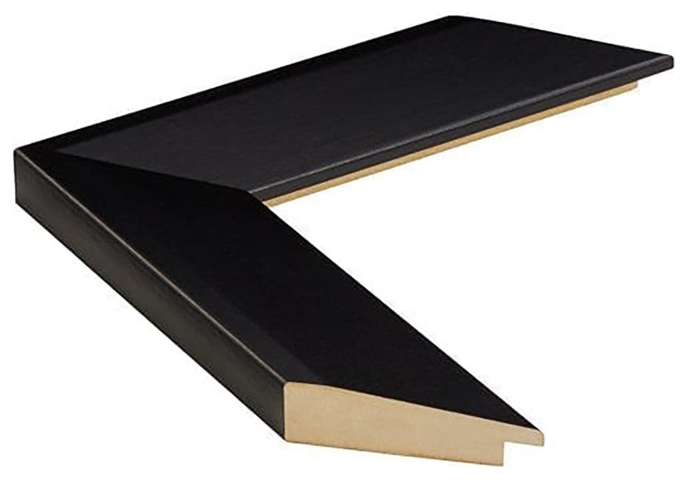 LaRue Framed Wall Mirror, Black, 28" X 60"