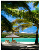 "Tropical Paradise" and Shore Photo Canvas Art Print, 3 Panels, 28"x36"