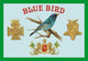 Blue Bird Cigars- Canvas Poster 20" x 30"