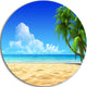 Coconut Palms Bent Into Beach, Seashore Art Disc Metal Wall Art, 23"