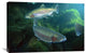 "Rainbow Trout pair underwater in Utah" Canvas Giclee by Michael Durham, 30"x20"