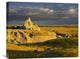 "Mule Deer Trio In Grasslands Of Badlands National Park, South Dakota" Artwork