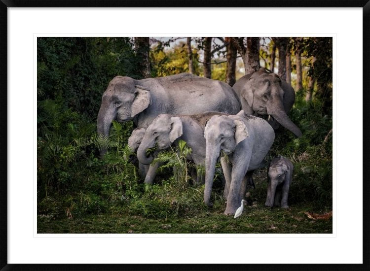 "Tasty Leaves" Framed Digital Print by Pavol Stranak, 38"x28"
