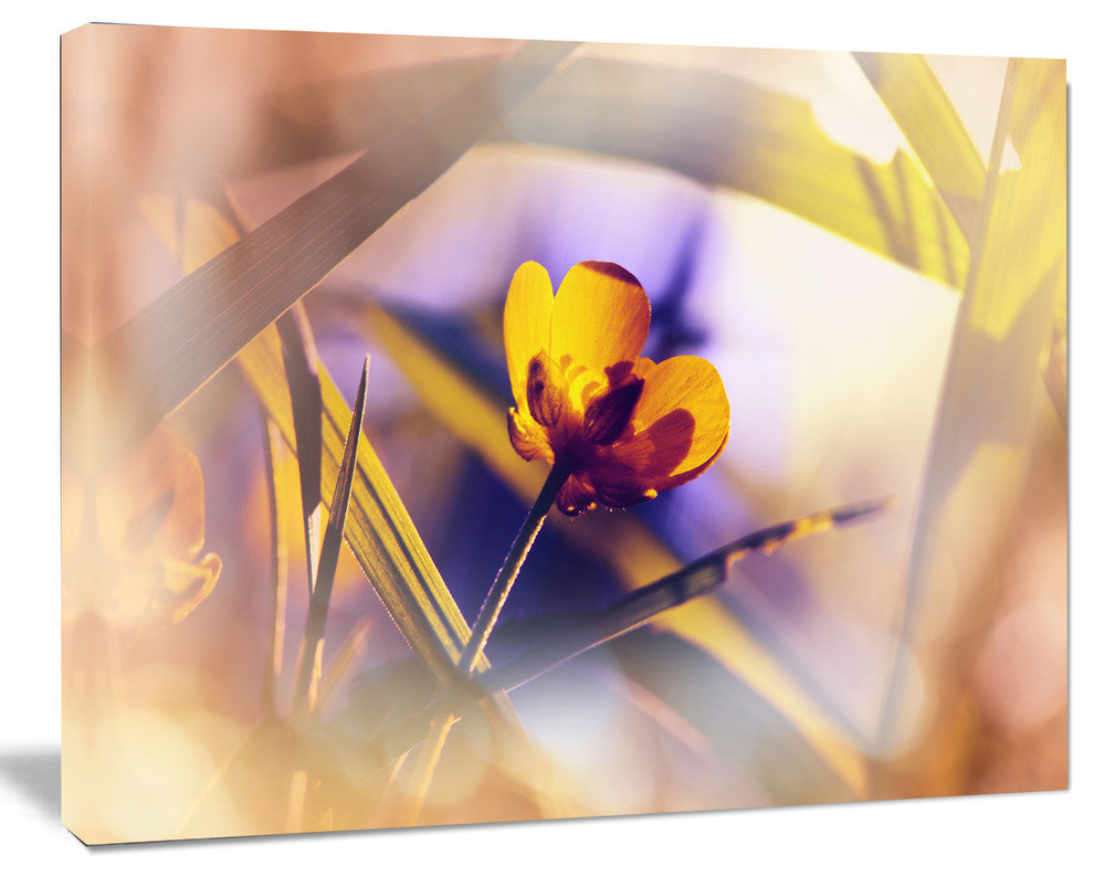 Yellow Flower on Blue Background, Floral Canvas Art Print, 20"x12"