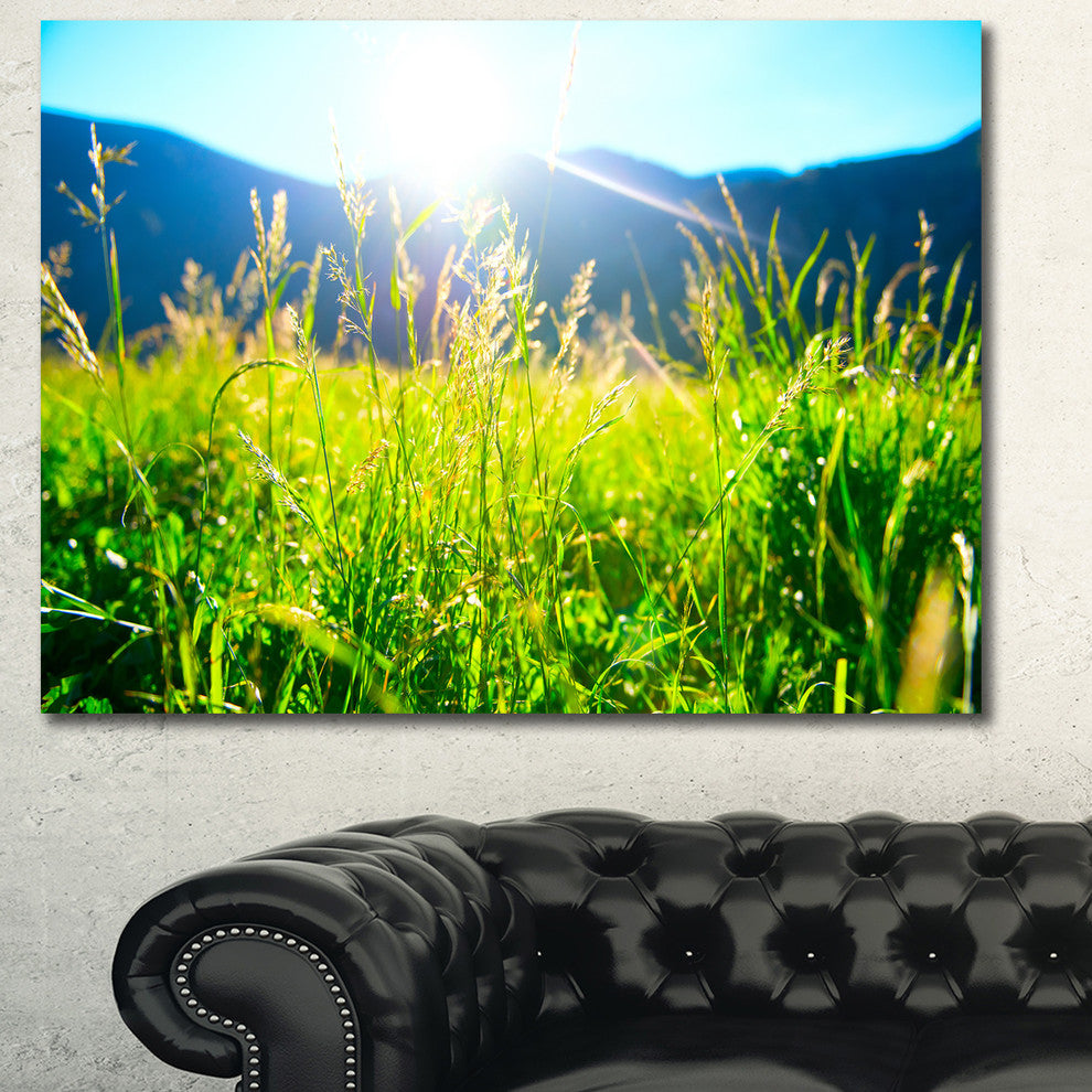 Beautiful Green Nature Wonder, Landscape Canvas Art Print, 40"x30"