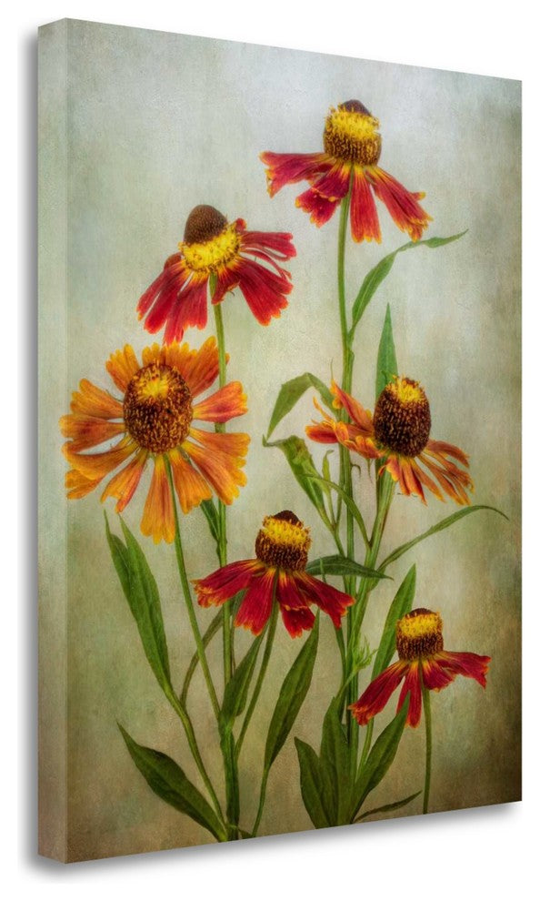 "Cabaret" By Mandy Disher, Giclee Print on Gallery Wrap Canvas, Ready to Hang