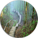 Stairway Leading To Foggy Forest, Landscape Disc Metal Artwork, 23"