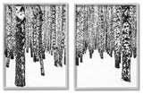 Rustic Winter Forest Scene Birch Trees,16 x 20