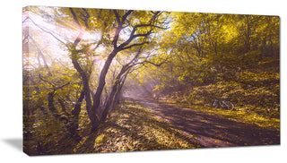Bicycle Ride in Fall Forest, Large landscape Canvas Art Print, 60"x28"