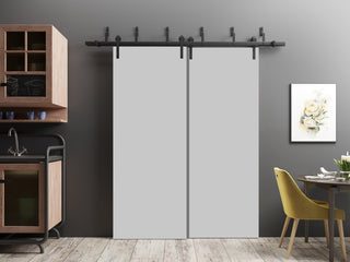 Sliding Closet Barn Bypass Doors 84 x 84 | Planum 0010 Matte Grey |  8ft