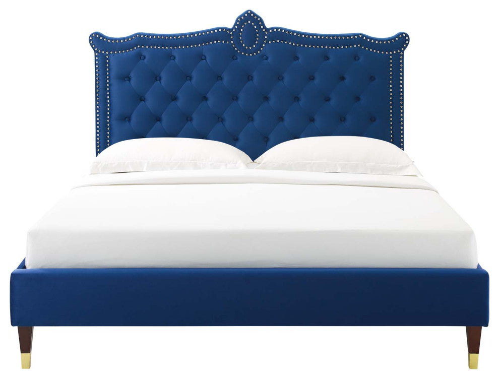 Platform Bed Frame, Nailhead, Queen Size, Blue Navy, Velvet, Modern