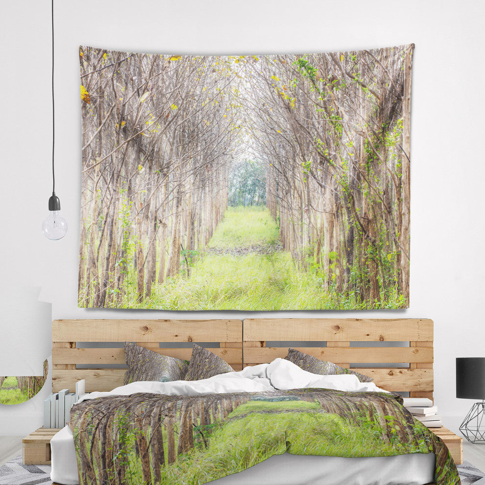 Pathway Through Fall Green Trees Landscape Photography Wall Tapestry, 39"x32"