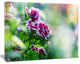 Pink Flowers on Green Background, Floral Canvas Art Print, 40"x30"