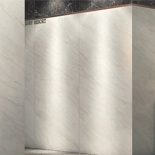 Eterno Siro Polished 48x96 Porcelain Tile