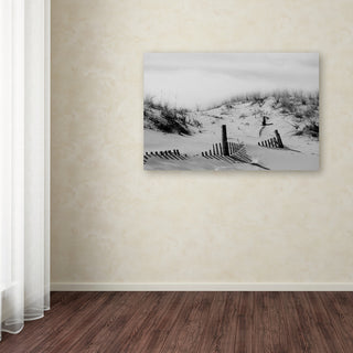 PIPA Fine Art 'Buried Fences' Canvas Art, 19x12