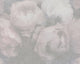 Floral Textured Wallpaper Featuring Peonies, 373923