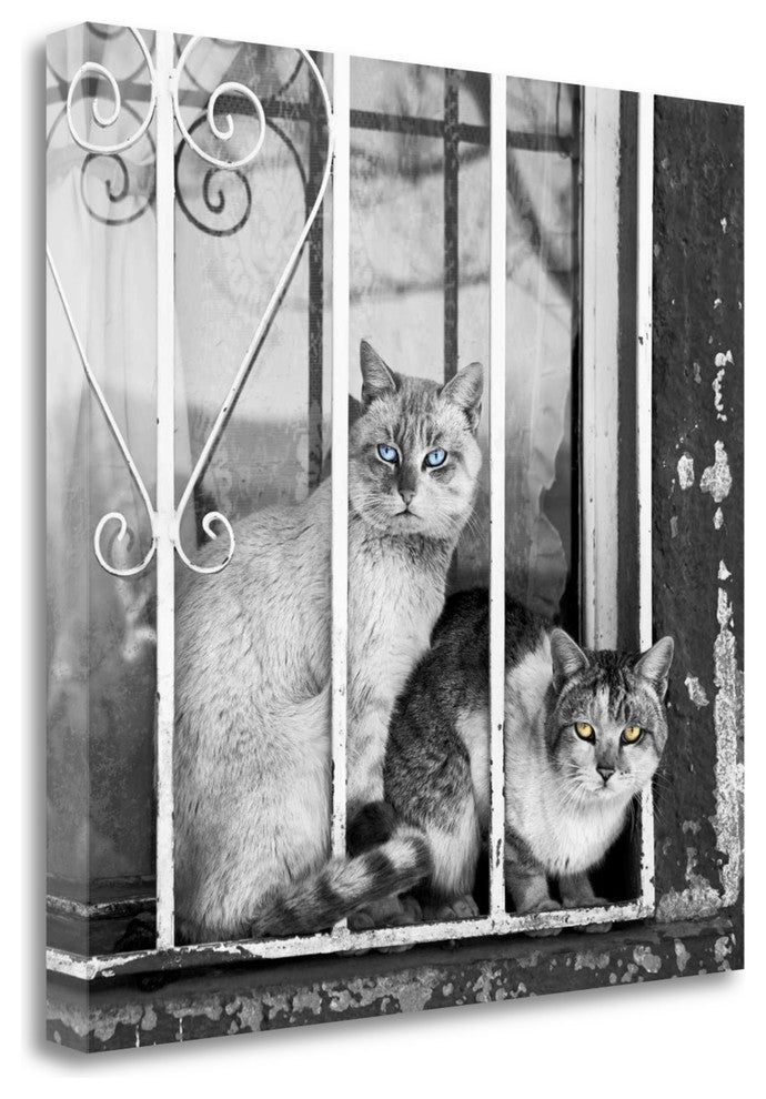 "The Stare" By Jon Bertelli, Giclee Print on Gallery Wrap Canvas, Ready to Hang