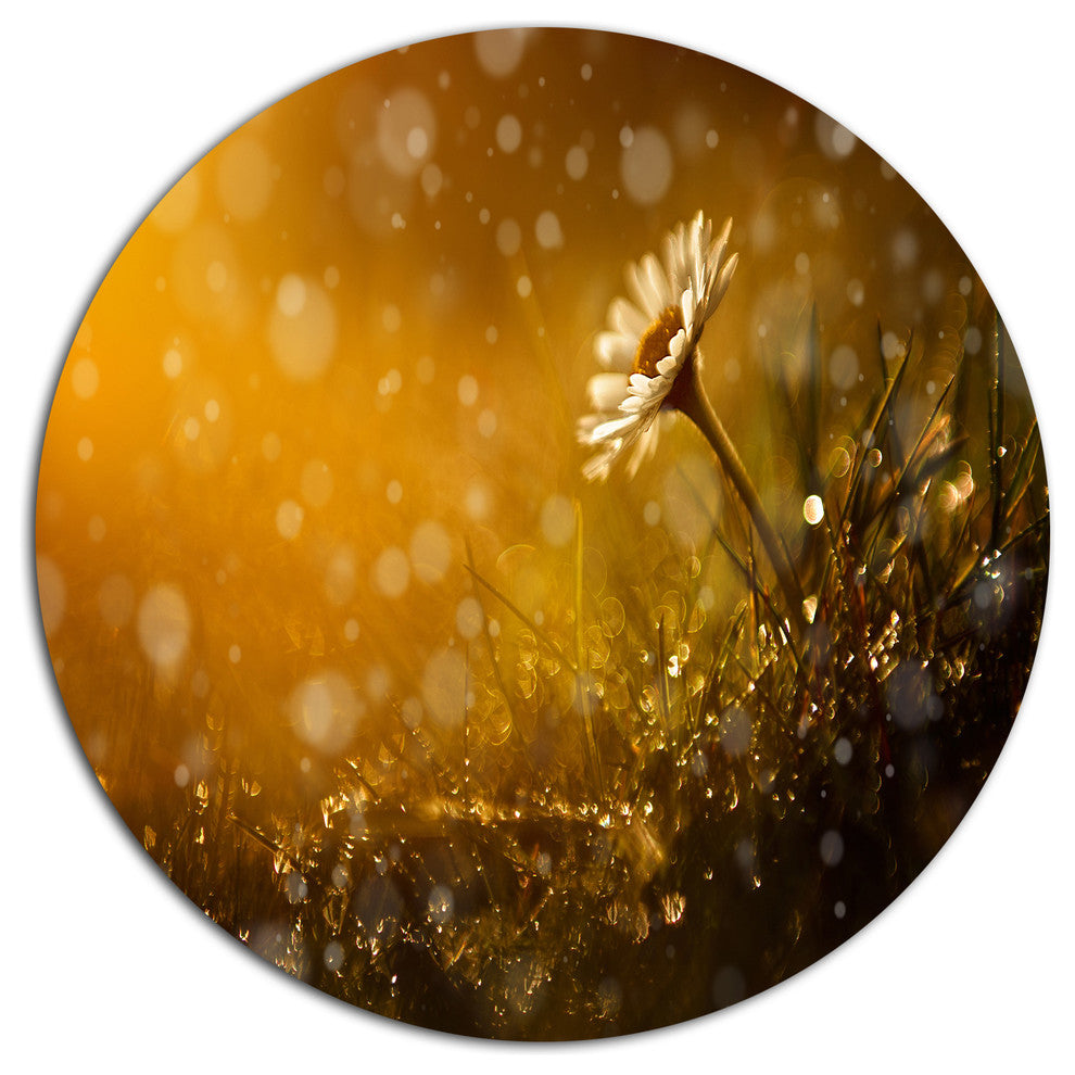Forest After Rain During Sunset, Flower Disc Metal Wall Art, 11"