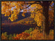 Autumn Deciduous Forest, Shenandoah National Park, Virginia, 16"x12"