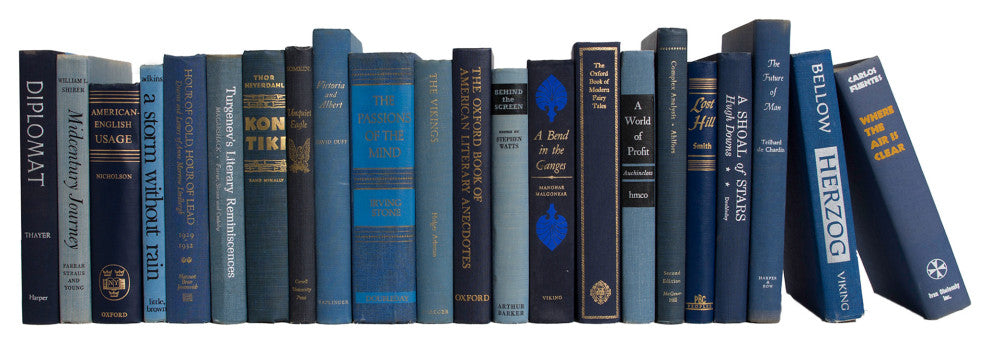 Decorative Books - Vintage Denim- Blue Books By The Foot