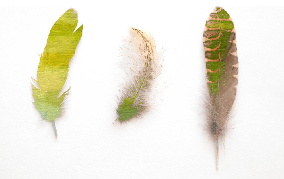 "Feather Paints" Artwork