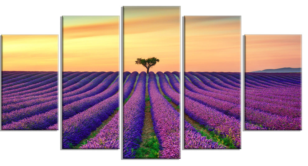 "Lavender Flower Rows in Provence" Landscape Wall Art Print, 5 Panels, 60"x32"
