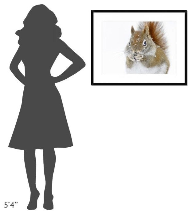 "Christmas Squirrel" Framed Digital Print by Mircea Costina, 32x26"