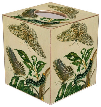 TB404 - Butterflies & Caterpillar Tissue Box Cover