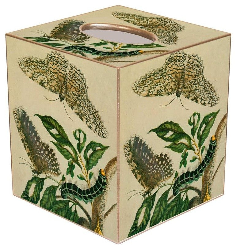 TB404 - Butterflies & Caterpillar Tissue Box Cover