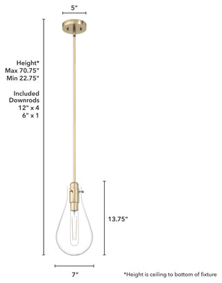 Hunter 7" Lundin Palm Gold 1 Light Pendant Ceiling Light