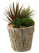 Easter Grass and Succulents in Weathered Oak Look Cement Planter
