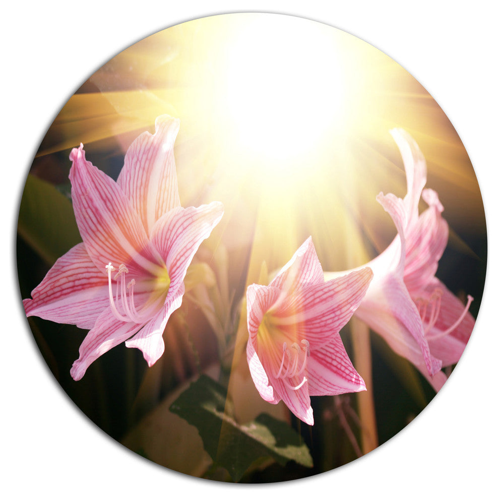 Pink Flowers With Sunlight, Flower Disc Metal Artwork, 11"