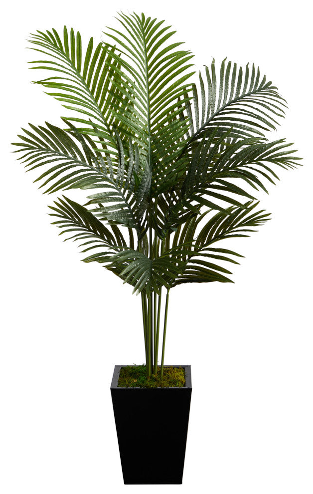 5' Paradise Palm Artificial Tree, Black Metal Planter