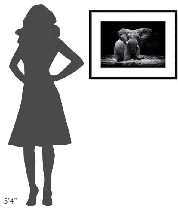 "Power 1" Framed Digital Print by Gorazd Golob, 30x23"