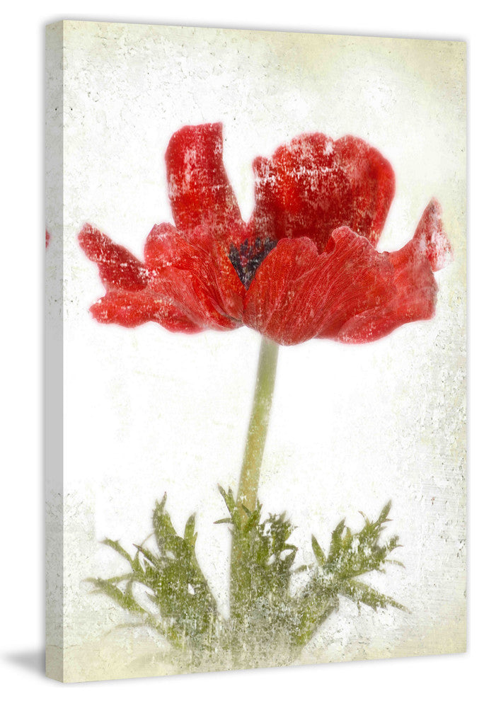 "Anemone Red" Painting Print on Canvas by Aryai